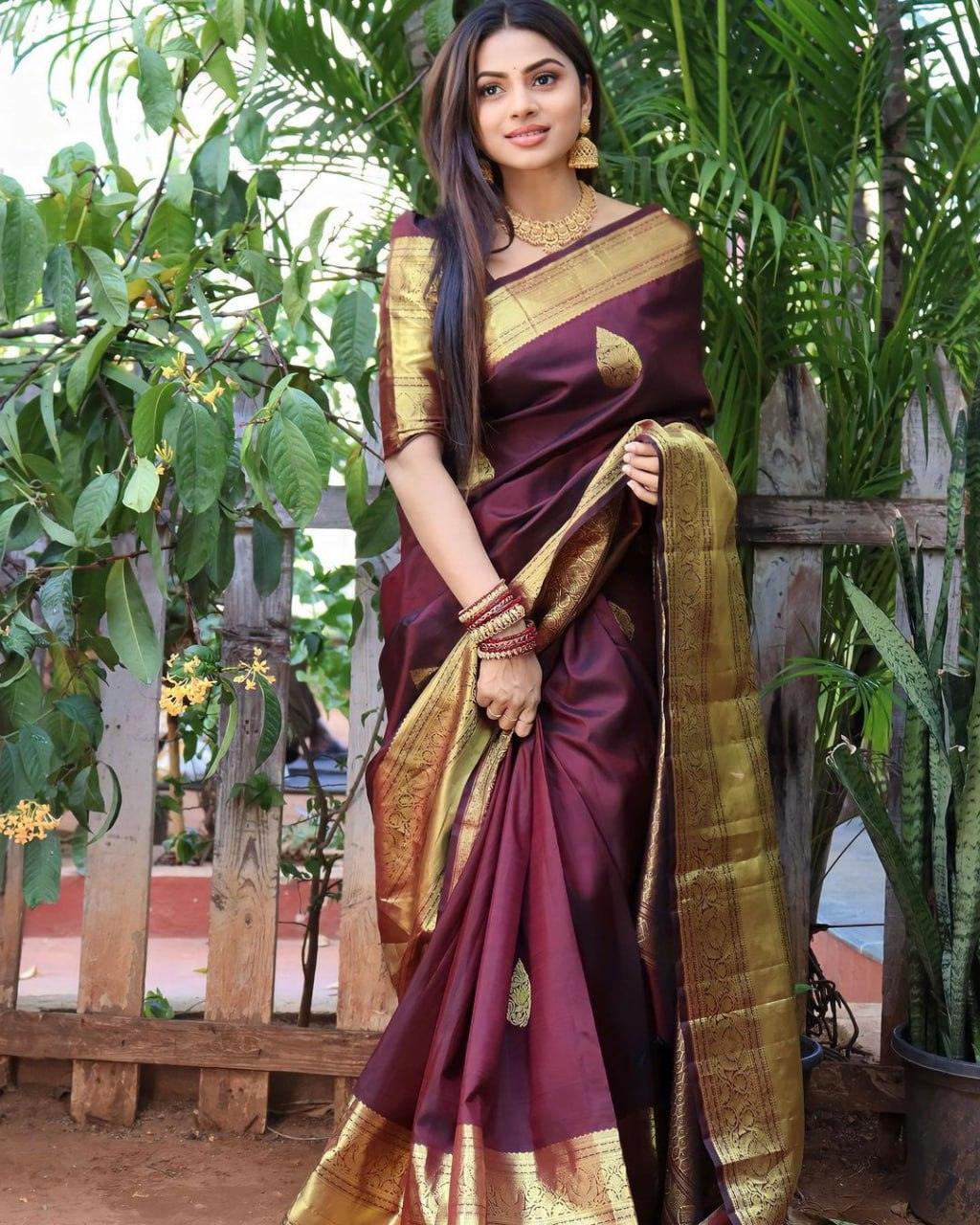 Wine Banarasi Soft Silk Saree
